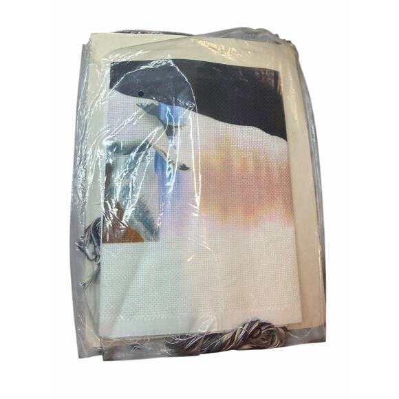 Vintage Candamar Designs Something Special Cross Stitch Kit 50414 Indian Maiden - Picture 2 of 4